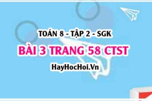 Bài 3 trang 58 Toán 8 Tập 2 Chân trời sáng tạo